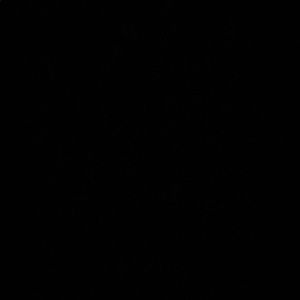 Meet your Posher, Mariah